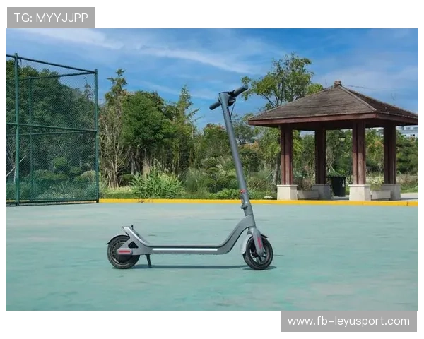 _新能源运动：电动滑板新宠火热来袭_，最新型的电动滑板