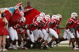 小胖笑容圈粉，粉丝被樊振东现场情绪打动，小胖樊振东表情包